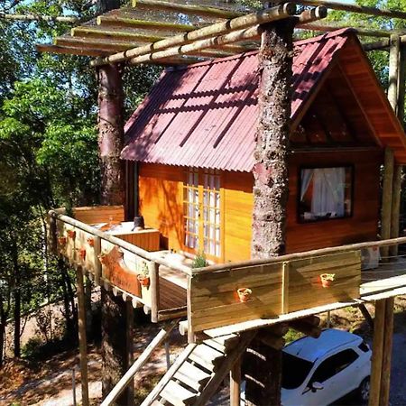 Casa Na Arvore Com Hidro, Piscina, Trilha, Cavalo Bento Gonçalves Екстериор снимка