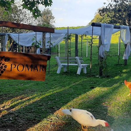 Casa Na Arvore Com Hidro, Piscina, Trilha, Cavalo Bento Gonçalves Екстериор снимка