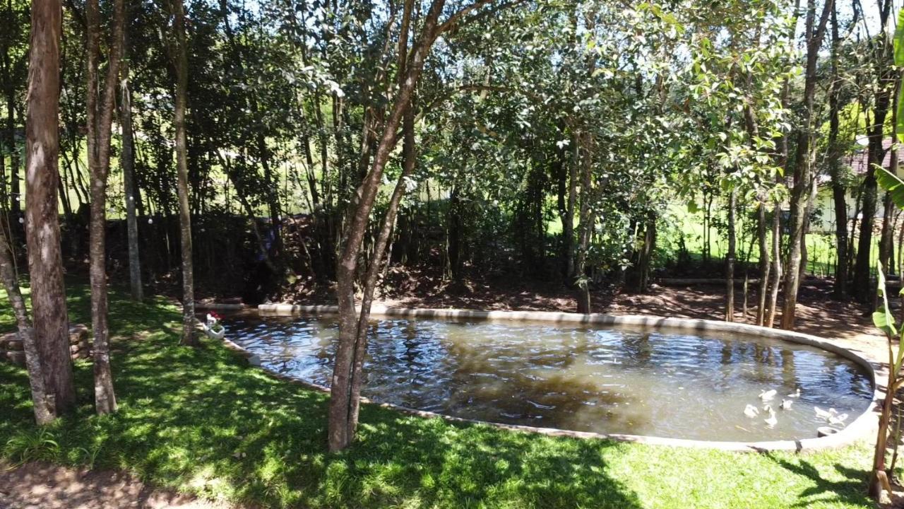 Casa Na Arvore Com Hidro, Piscina, Trilha, Cavalo Bento Gonçalves Екстериор снимка