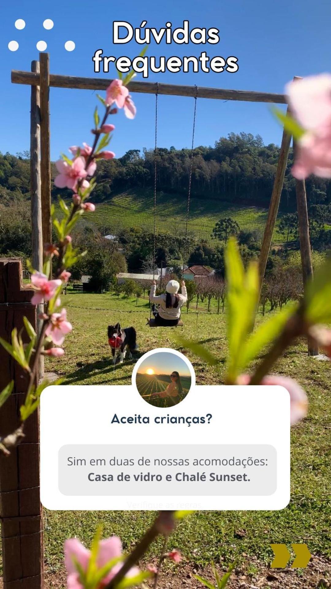 Casa Na Arvore Com Hidro, Piscina, Trilha, Cavalo Bento Gonçalves Екстериор снимка
