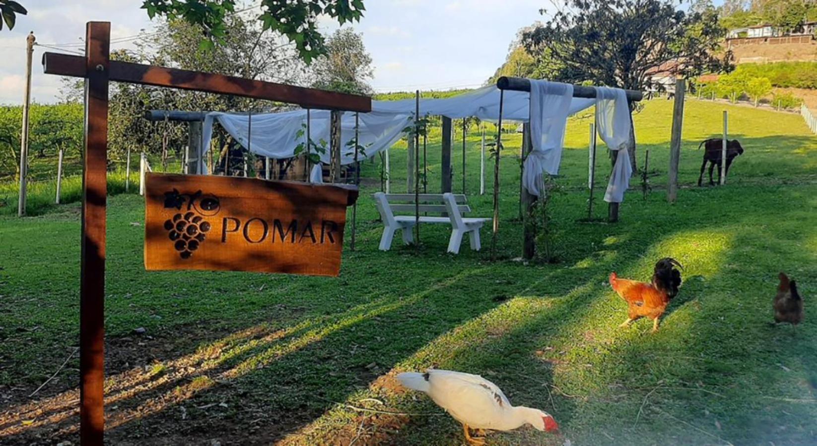 Casa Na Arvore Com Hidro, Piscina, Trilha, Cavalo Bento Gonçalves Екстериор снимка